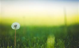 Lunita双鱼座一周运势(11.29-12.4)