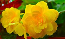 骂人不带脏字，吵架最文明的三大星座，却也最伤人！