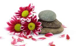 想尽快脱单，须调整对爱情期望值的两大星座