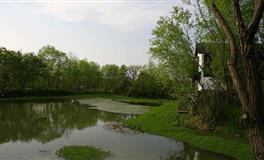 最不愁没人要的星座女