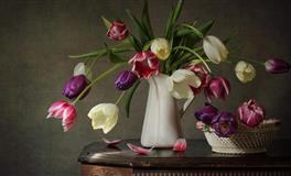 裴恩星座金牛座一周运势（11.29-12.5）