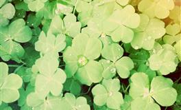 谎话说的毫无破绽，撒谎技术一流的三大星座，让人难辨真假！