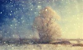 言不由衷，嘴上说减肥，看见美食却把持不住，大吃大喝的三大星座