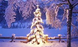 吠陀占星FindYourFate天秤座2022年运势