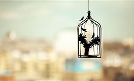 Pandora占星小巫双鱼座一周运势（11.26-12.2）