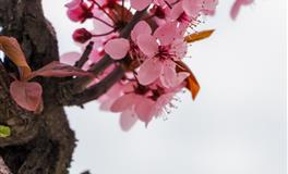 双子座满月、金星逆行之后，还要“搞事情”？！