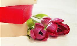 百变巫女射手座一周运势（12.27-1.2）