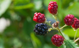 杀破狼天蝎座一周运势(2021.12.13-12.19)