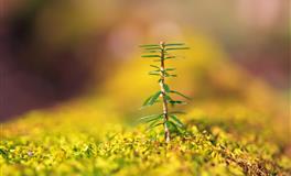 克莉丝汀处女座一周星座运势（12.1-12.7）