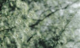 苏珊米勒每日运势2021年12月4-5日