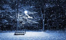 Horoscope射手座2022年运势