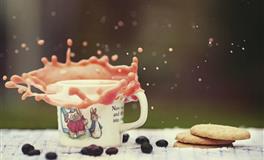 艾菲尔十二生肖冬至运势(2021.12.21-2022.1.4)