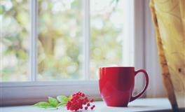 百变巫女狮子座一周运势（12.6-12.12）