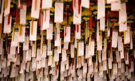 星座女神2022年星座运势