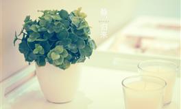 海百合2022年星座运势