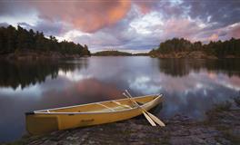 裴恩2022年1月星座运势前言