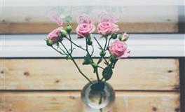 百变巫女魔羯座一周运势（12.13-12.19）