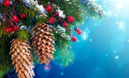 会享受孤独的摩羯座