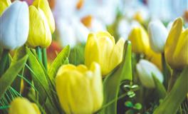 不擅表达，总是故作高冷的三大星座