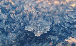 擅长用撒娇俘获男神，那些楚楚可怜的星座女，最会以柔克刚