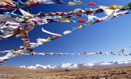 2022年十二星座新年转运指南