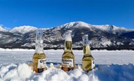 羲邑师姐生肖鸡一周运势(1.17-1.23)