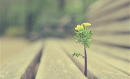 恋爱中“秘密”最多的星座，神秘莫测，很难真正进入他们的心