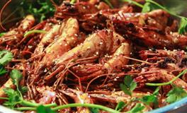 自律成为习惯，做事雷厉风行，这四大星座显得与众不同