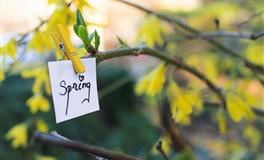 2022年第一次水逆对巨蟹座的影响以及开运指南