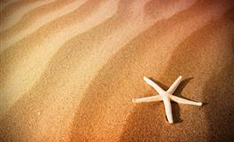 生性傲气的三大星座，却能力极强，虽然很狂，但是有狂的资本