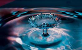 能力强本事大，却很低调的三大星座，智商极高，却从不与人争长短