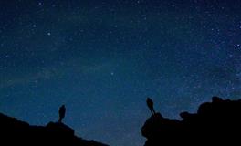 展钰凝双鱼座一周运势（1.17-1.23)