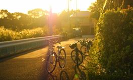 爱情至上，为爱不顾一切的星座，一旦陷入就无法自拔