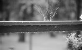 最塔罗白羊座一周运势1.31-2.6