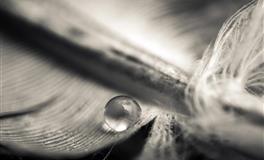 静电鱼天秤座每周运势（1.10-1.16）