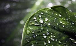 最喜欢听八卦说八卦的4个星座