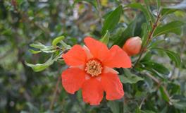 处女座，星座界的“东方不败”，但他们真的很痛苦，也真的很拧巴