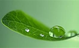 2022年，这几个星座会突飞猛进！