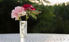 永远没办法做全职主妇的星座女，对家人负责，但也绝不放弃自己