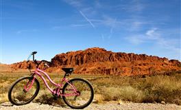 爱得再深，也绝不讨好的星座