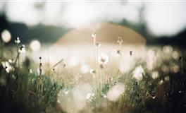 娜迪亚射手座本周运势（1.3-1.9）