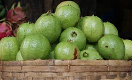 闹闹女巫店射手座2022年1月运势