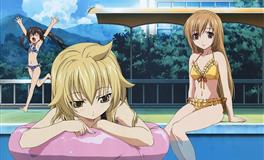 2022年，12星座你在哪个领域最红？