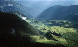 凯利.福克斯2022年1月星座运势