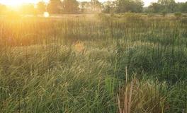 秦阳明2022年1月生肖运势