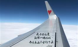 竹猫星球射手座一周塔罗运势（1.3-1.9）