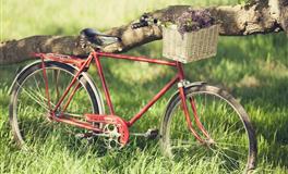 董易林生肖兔2022年1月运势