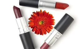 羲邑师姐生肖兔一周运势(2.7-2.13)