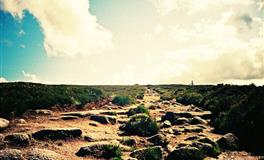 静电鱼射手座一周运势（2.7-2.13）