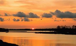 展钰凝处女座一周运势（2.21-2.27)